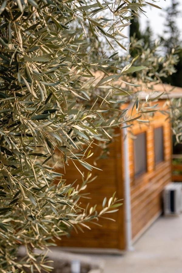 Dragano Agrelia Homes מראה חיצוני תמונה